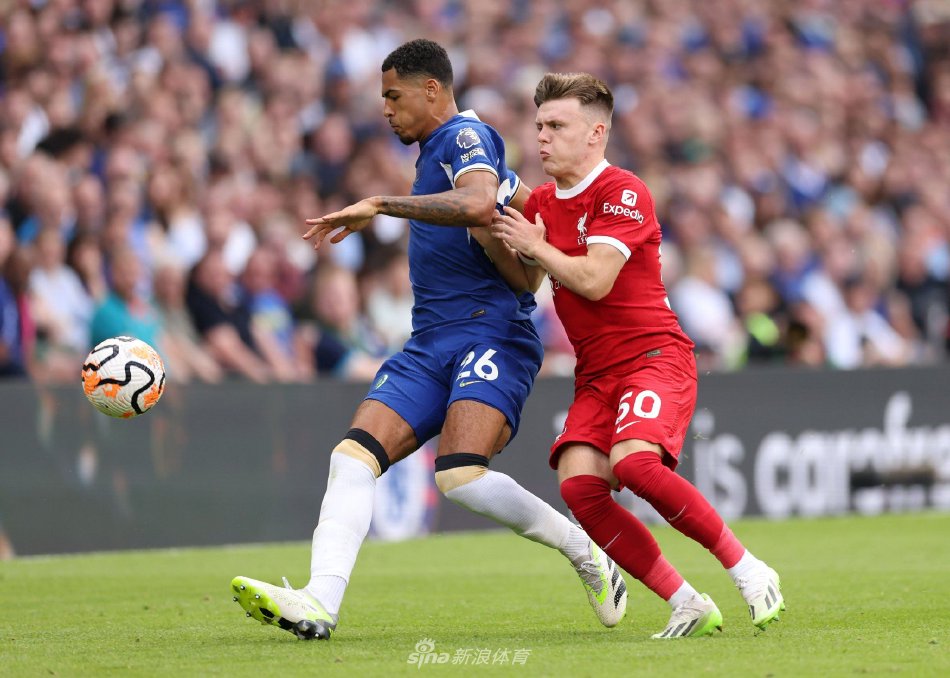 下一场主场 下一场主场