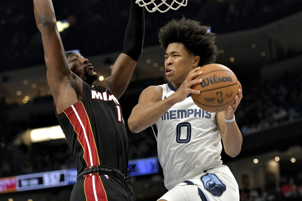 比目鱼肌受 比目鱼肌受